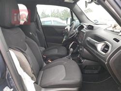 جيب رينيجيد